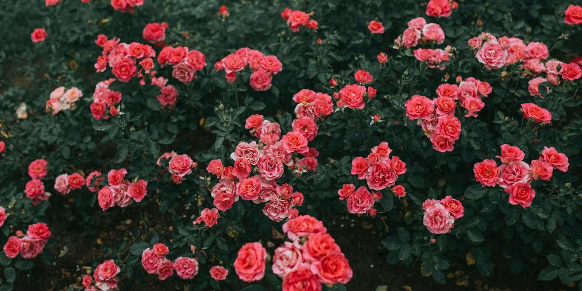 eznpc Why Leapers Spawn On Dam Battlegrounds And Where To Find Them