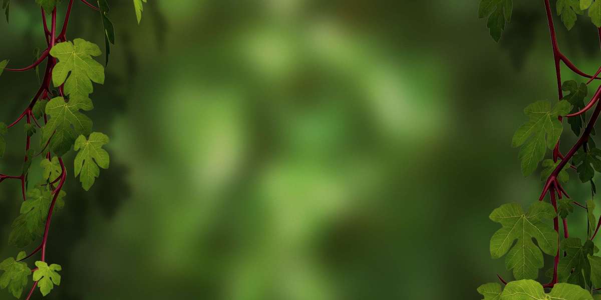 Exploring Treatment Options for Erectile Dysfunction: A Comprehensive Case Study