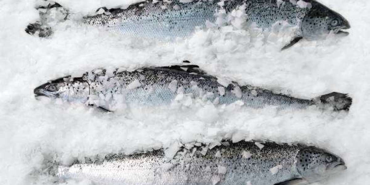 Changing Consumption Patterns in the Frozen Sea Food Market