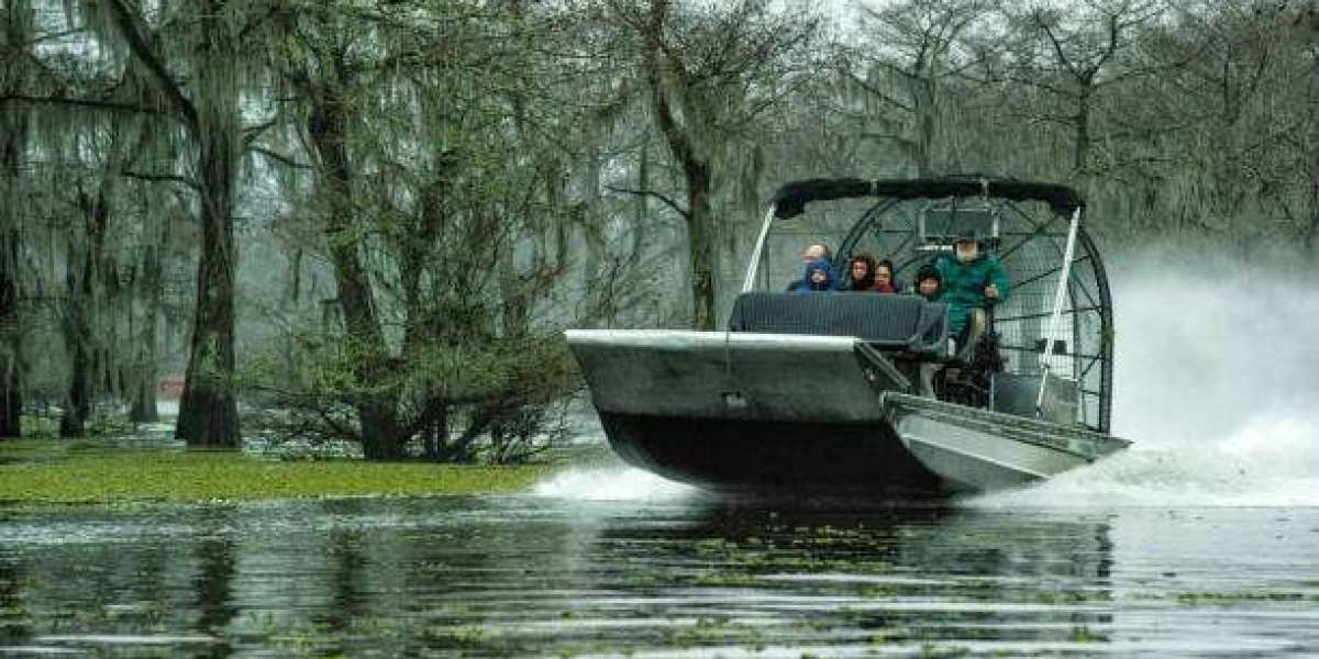 Infrastructure Development and Its Effect on Swamp Boat Demand