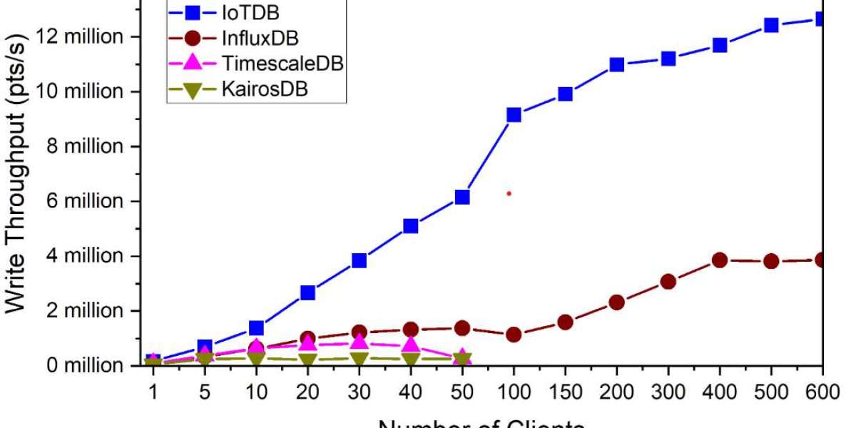 Securing Time Series Databases: Strategies for Enterprise Environments