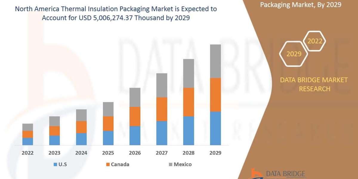 North America Thermal Insulation Packaging Market Business Shares and Outlook 2029