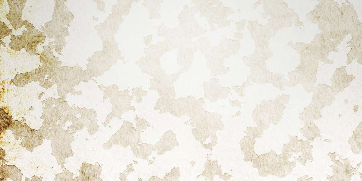 Top 3 Best Gold IRA Companies for 2023: Secure Your Retirement with Precious Metals