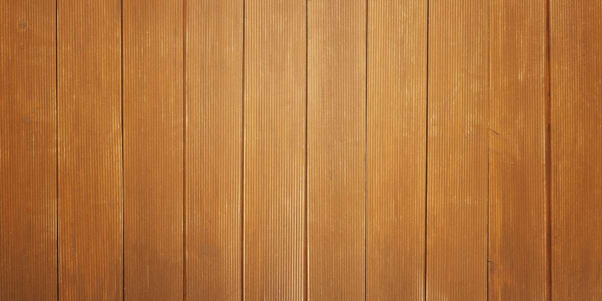 Investing in Stability: A Case Study on Gold and Silver Backed IRAs