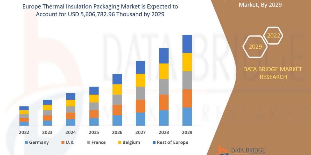 Europe Thermal Insulation Packaging Market Business Shares and Outlook 2029