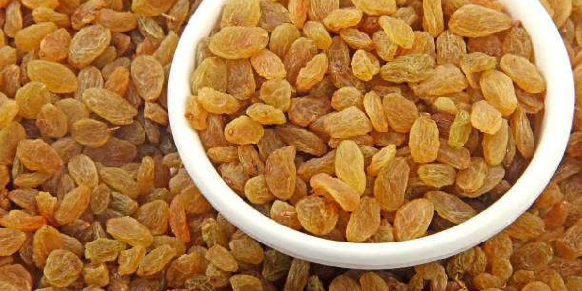 Investment Opportunities in the Raisins Industry