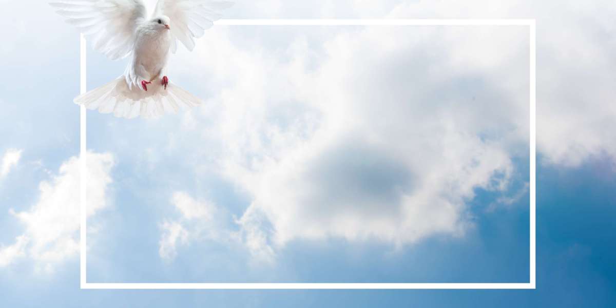 Understanding Gold and Silver IRA Companies: A Comprehensive Guide