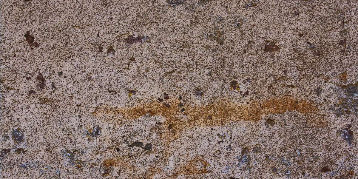 Quicken Personal Loans for Bad Credit: A Comprehensive Case Study