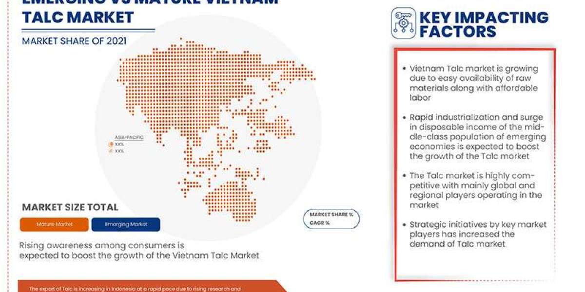 Vietnam Talc Market Business Shares and Outlook 2029