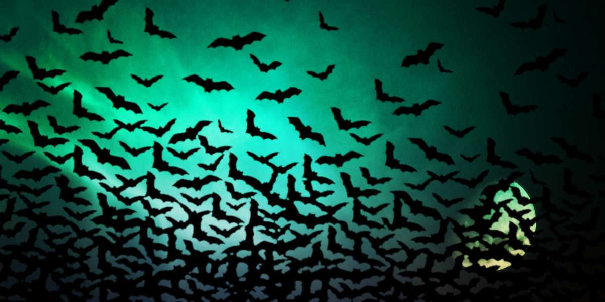 Natural Ways to Treat Erectile Dysfunction