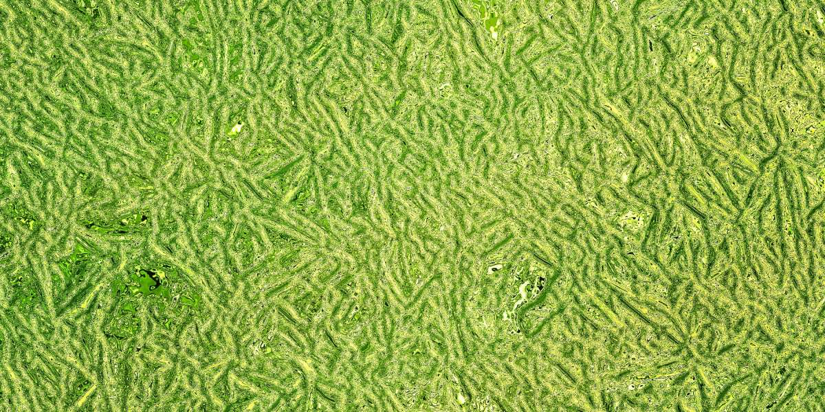 Understanding Personal Loans For Bad Credit: A Complete Study Report