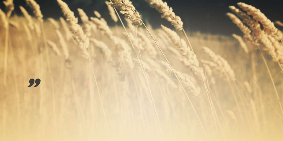 Exploring the Market for Personal Jets: A Comprehensive Study Report