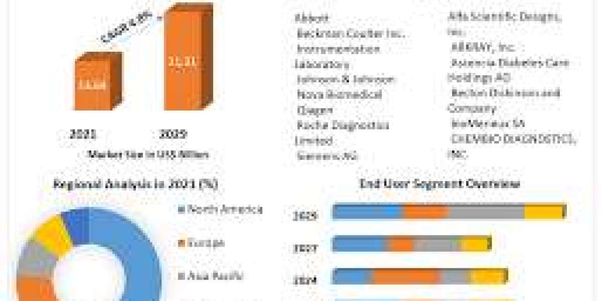 South Africa and Europe Point-of-Care-Testing (POCT) Market Current Size, Status, and Future Projections 2032