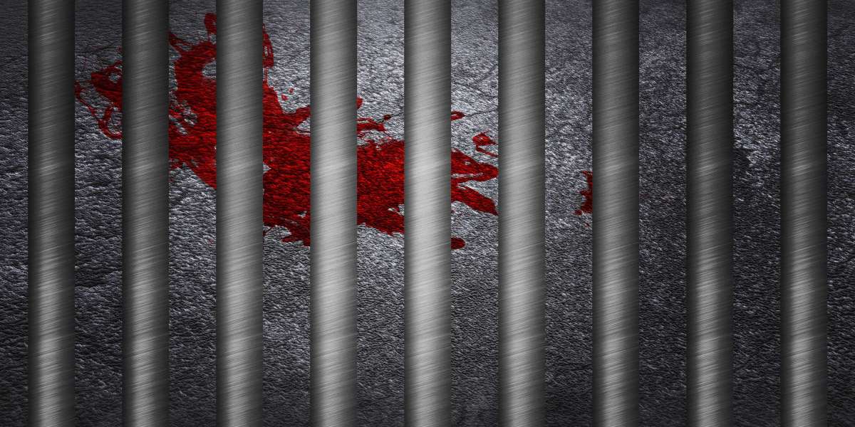 Observational Research on Vanguard Gold IRA: An In-Depth Analysis