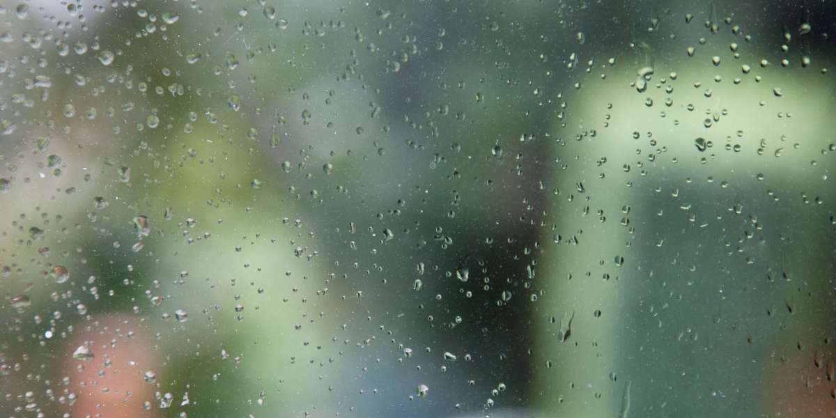 Exploring the World of Bullion Bars for Sale