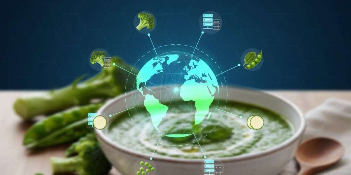 Managed Domain Name System (DNS) Services Market: Size, Share, and Future Outlook