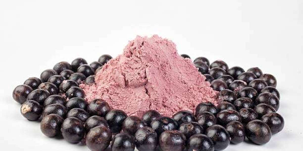 Market Dynamics Influencing Acai Berry Extract Pricing