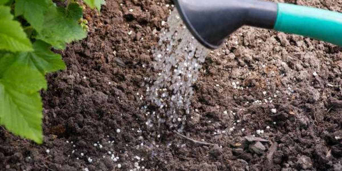Challenges and Opportunities in the Water Soluble Fertilizer Market