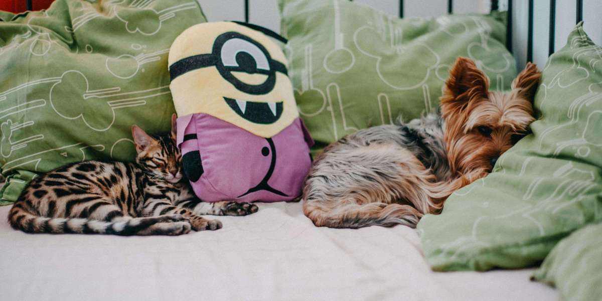 U4GM Tips Best Mole Rat Farming Spots in Fallout 76