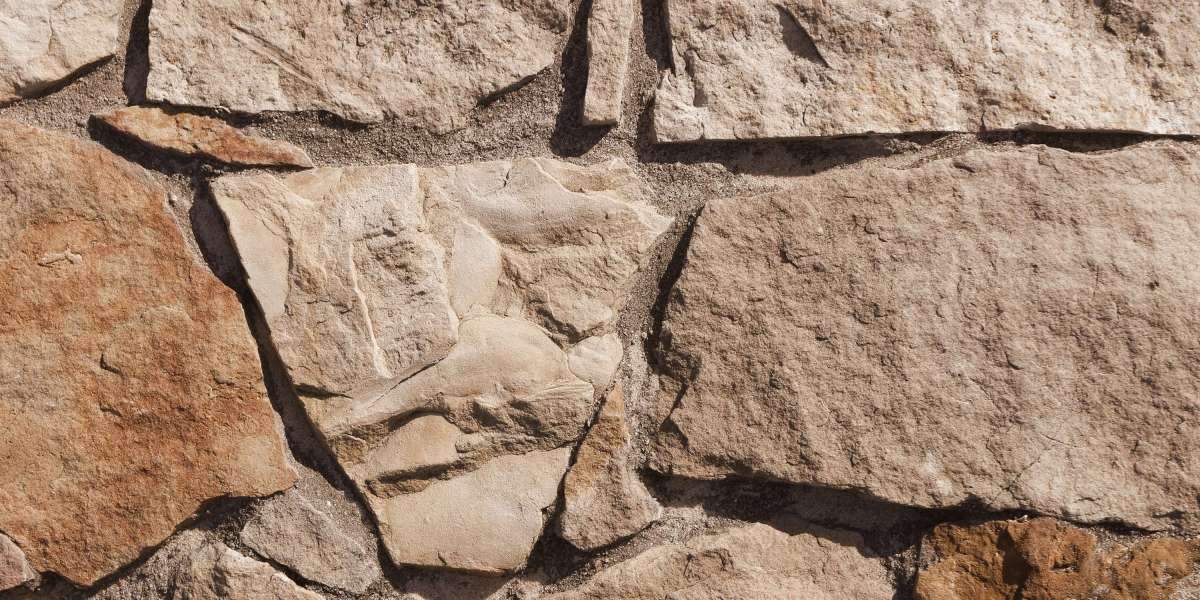 Understanding Payday Loans with No Credit Check