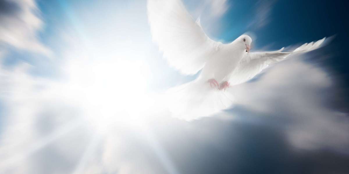 Understanding Small Personal Loans With No Credit Check: A Complete Guide