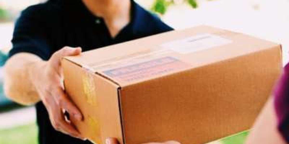 Domestic Courier Services Reliable Fast Delivery Solutions