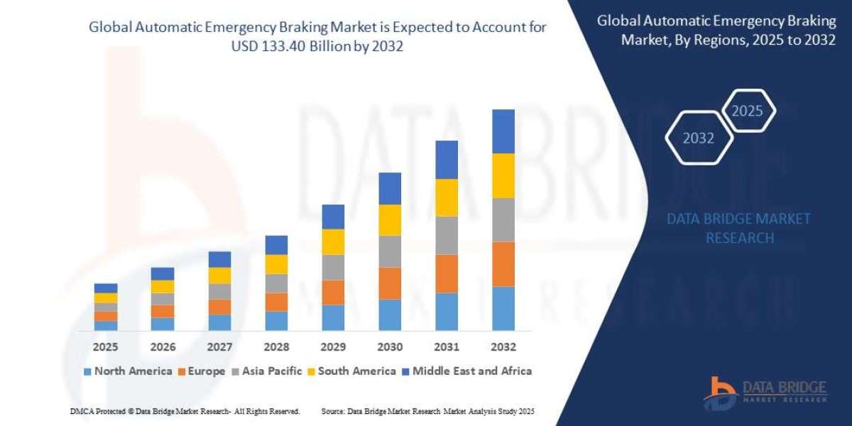 Automatic Emergency Braking Market Segmentation Analysis and Strategic Recommendations