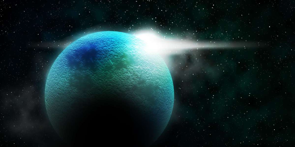 The Cost of Charter Jets: A Complete Case Research