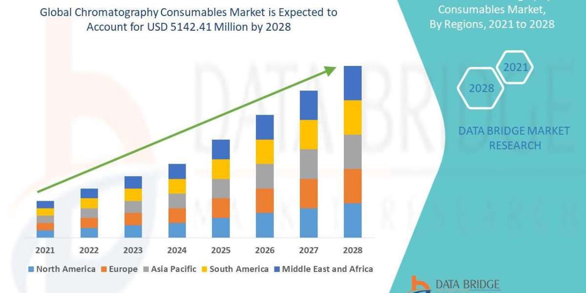 Chromatography Consumables Market Segmentation Analysis and Strategic Recommendations