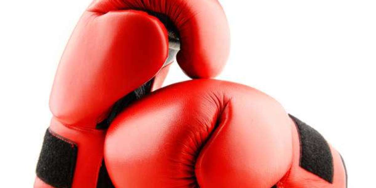 Digital Commerce Impact on the Boxing Glove Market