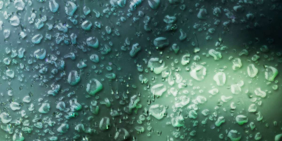 Top Rated Gold IRA Companies: A Comprehensive Review for Investors