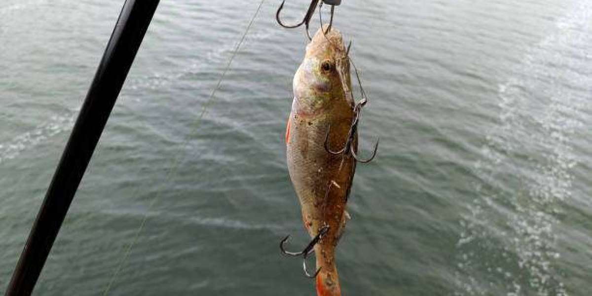 Fishing Bait Market Strategies Adopted by Leading Manufacturers