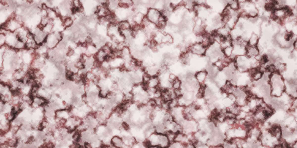 The Cost of Bajit: An In-Depth Analysis