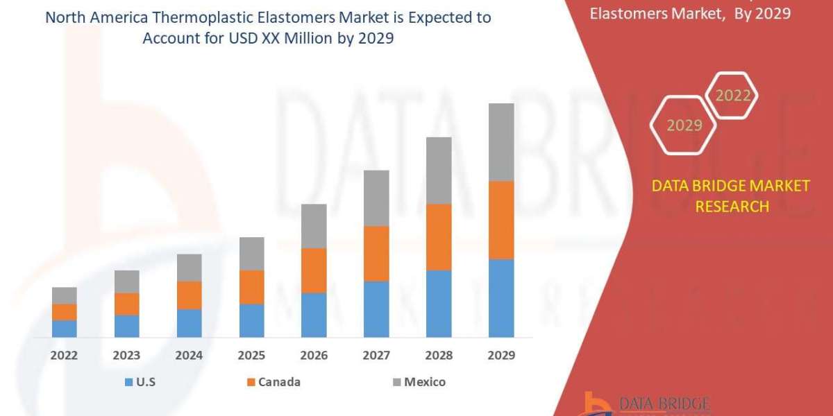 North America Thermoplastic Elastomers Market Outlook, Challenges, and Opportunities by Region