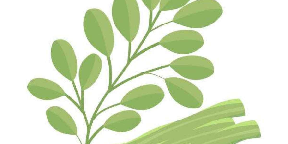 How Functional Foods Are Driving Moringa Market Growth