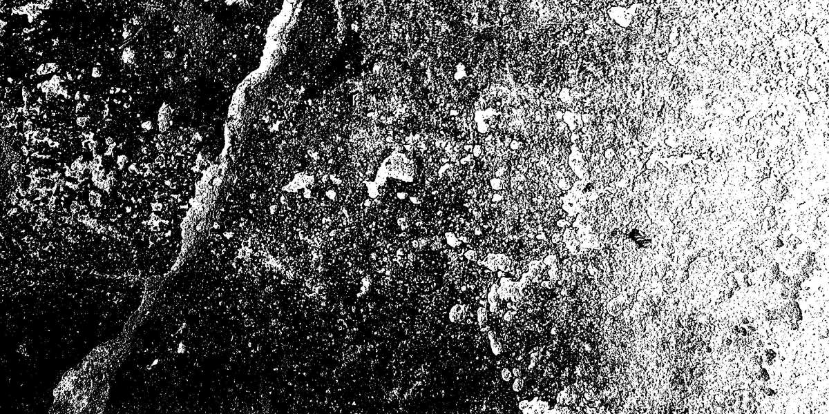 Exploring the Best Rated Gold IRA Options Available Today