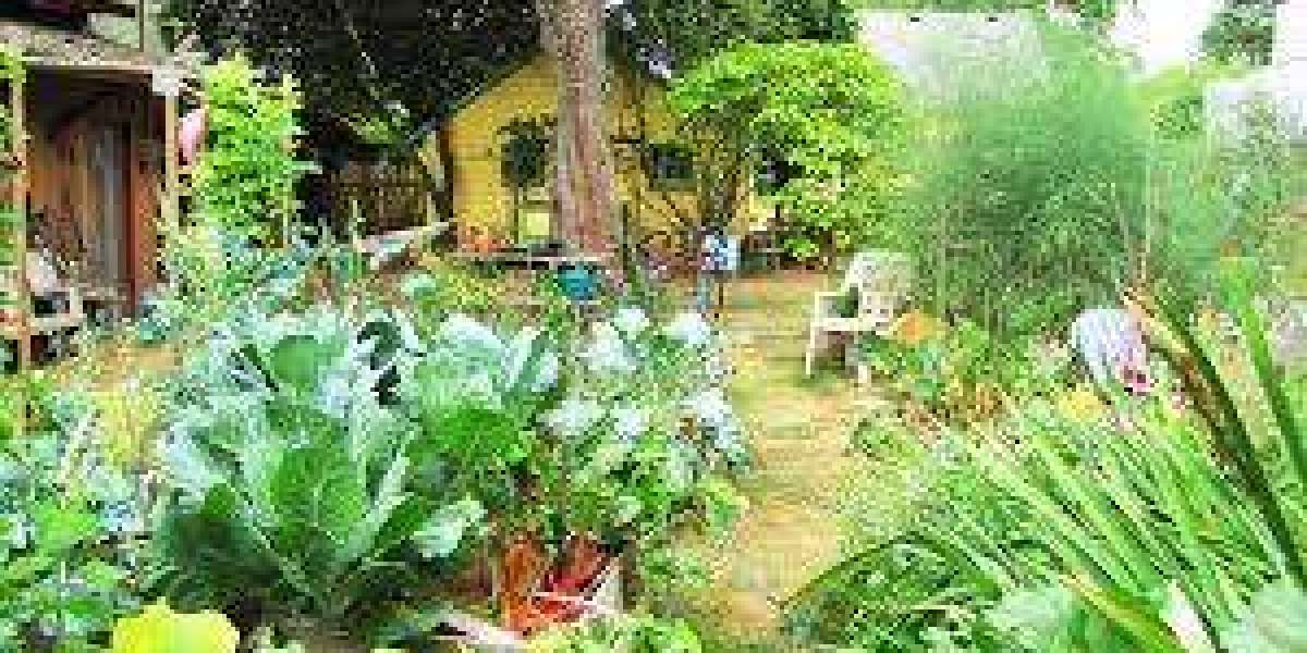Everything You Need to Know About an Online Permaculture Course