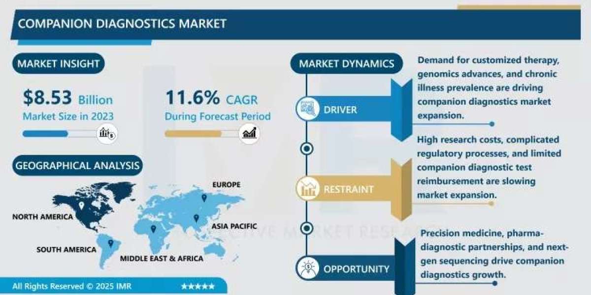 Companion Diagnostics Market Size Projected to Reach USD 22.90 Billion by 2032
