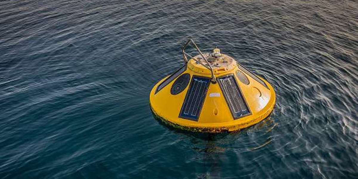 Sonobuoy Market Forecast: Trends Shaping the Next Decade