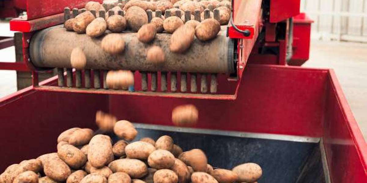 Agricultural Rollers Market: Trends Reshaping Modern Farming