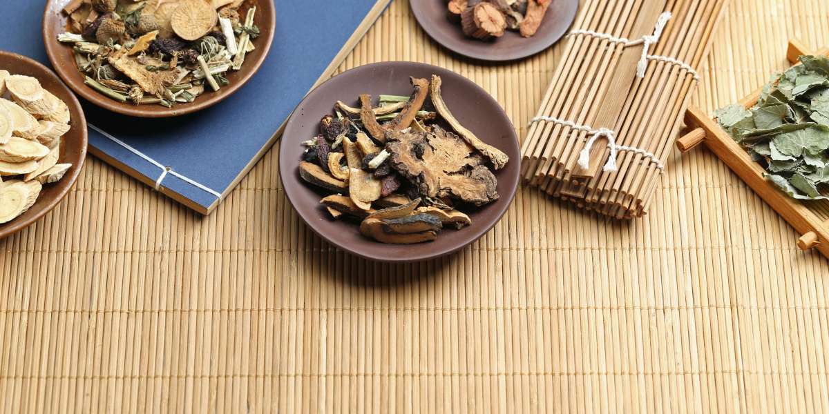 TCM Practitioner Ontario – Professional Training and Career Path with Eight Branches