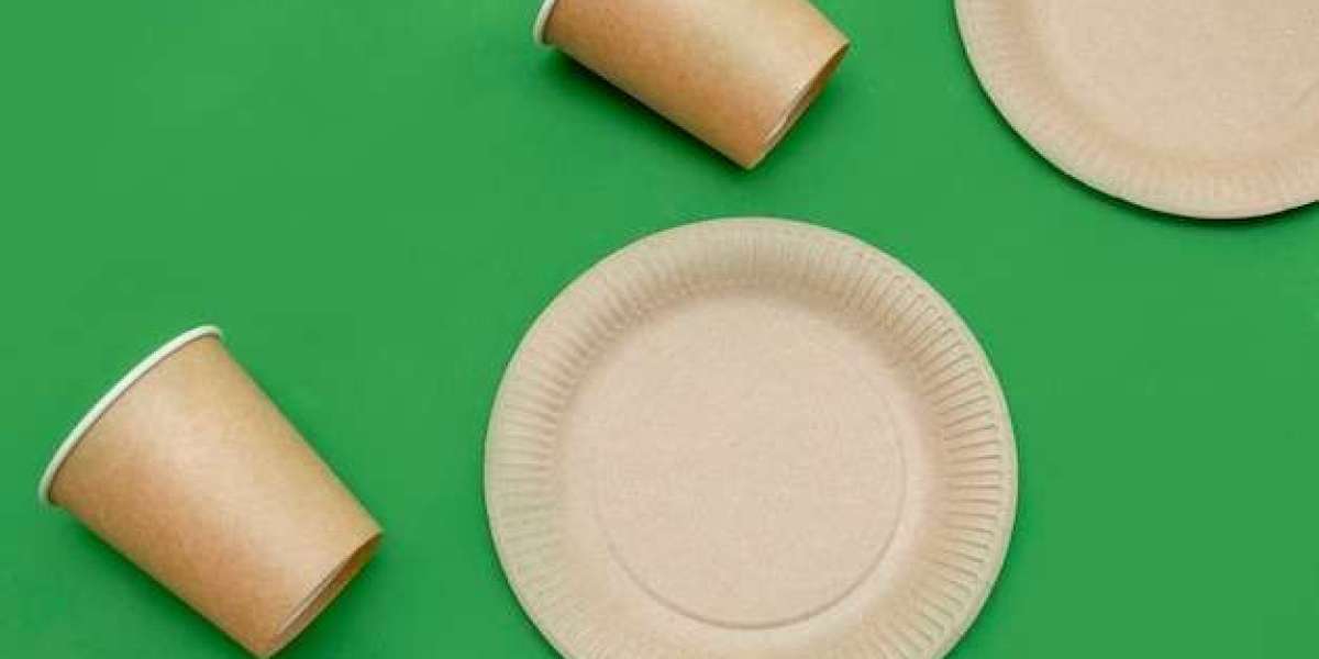 Eco-Friendly Paper Plates Market Set for Strong Growth, Reaching USD 1,946.53 Million by 2035