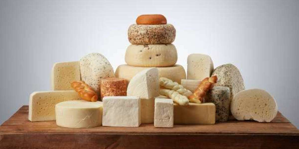 Business Expansion Strategies in the Camel Dairy Sector