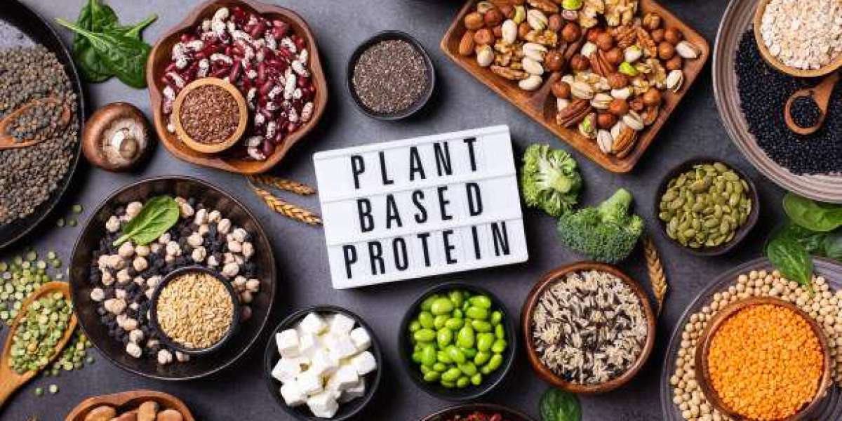 How the Plant Based Protein Market Is Transforming Global Nutrition
