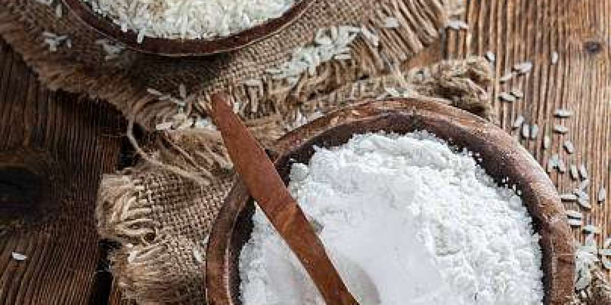 Rice Flour Market Insights for Manufacturers and Investors
