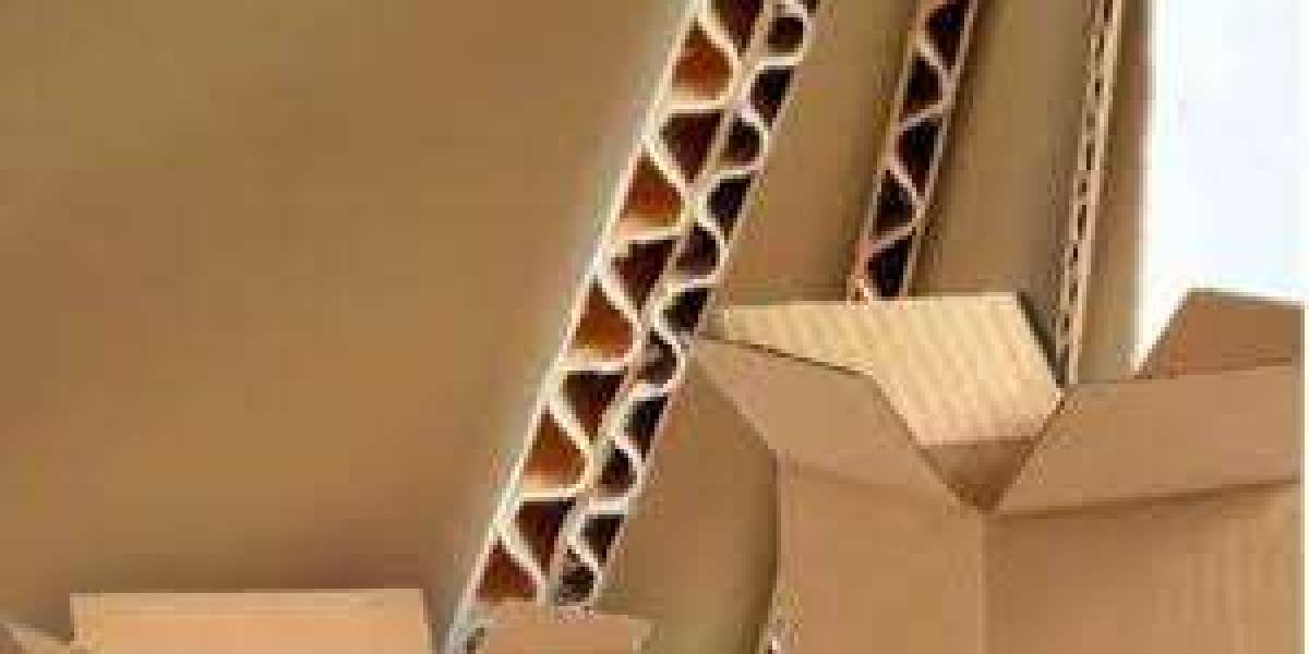 Europe Demand and Circular Economy Outlook with 8.38% CAGR Forecast Corrugated Boxes Market Sustainable Packaging