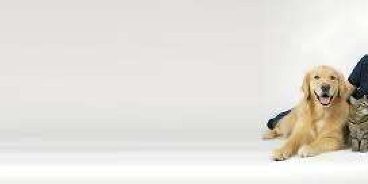 Professional In-Home Pet Sitting Sydney and Pet Care Services Ryde