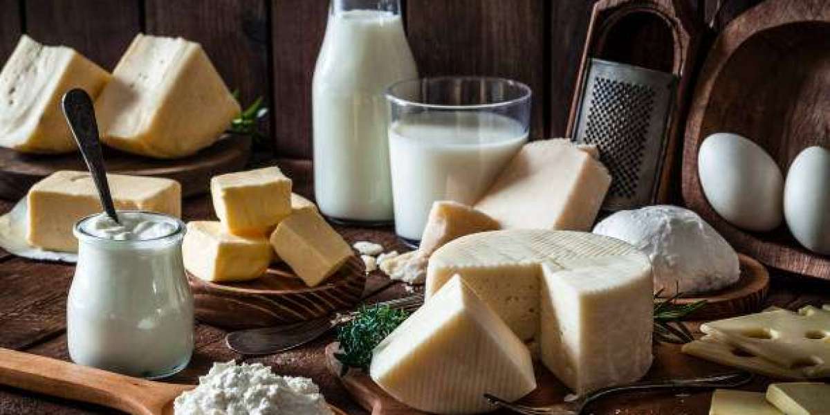 Strategic Outlook for Investors in Dairy Protein Ingredients