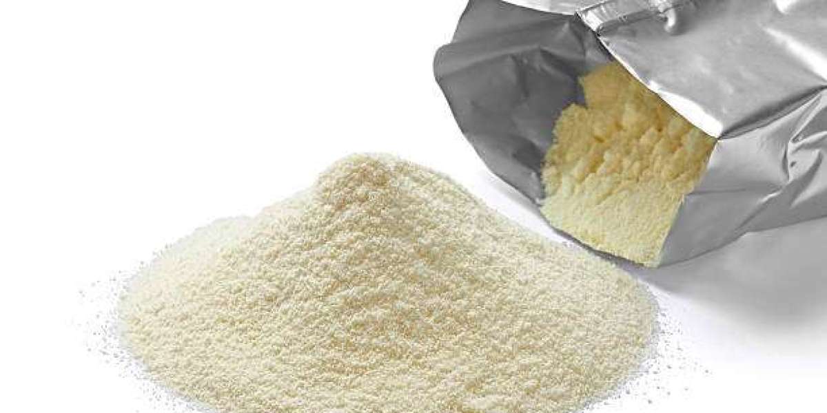 Regulatory Landscape Shaping the Customized Premix Industry