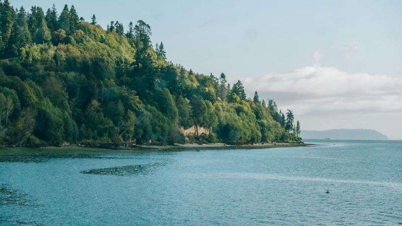 Alice Beth Profile Picture